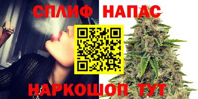 молекула духа Шахты