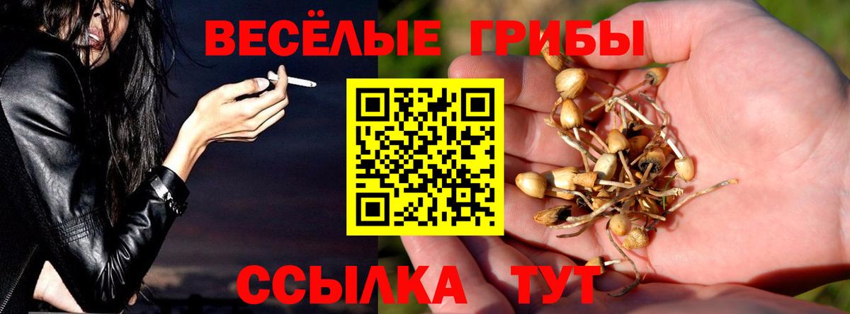 Псилоцибиновые грибы MAGIC MUSHROOMS  Вход с VPN  Анапа 